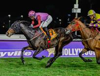 Fleur De Ling racing at Hollywoodbets Greyville